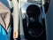 2022 Hyundai ELANTRA SEL IVT