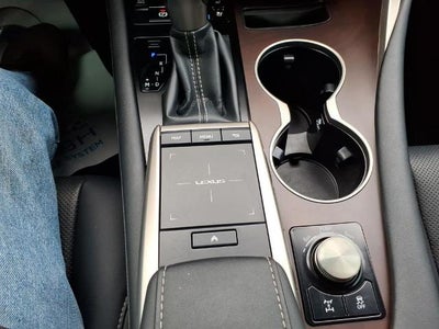 2021 Lexus RX 