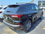 2025 Ford Escape ST-Line FWD