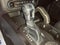 2026 Ford Bronco Badlands 4 Door Advanced 4x4