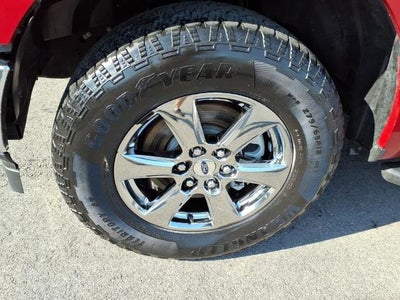 2020 Ford F-150 XLT 4WD SuperCrew 5.5' Box
