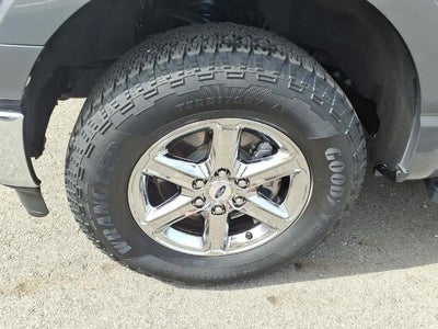 2025 Ford F-150 XLT 4WD SuperCrew 5.5' Box