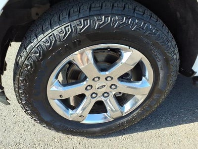 2021 Ford F-150 XLT 4WD SuperCrew 5.5' Box