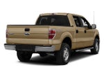2014 Ford F-150 4WD SuperCrew 5-1/2 Ft Box XLT