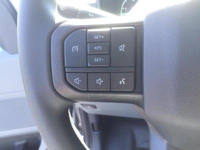 2024 Ford Super Duty F-350 SRW XL 2WD Reg Cab 8' Box