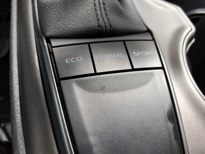 2023 Toyota Camry SE Auto (SE)