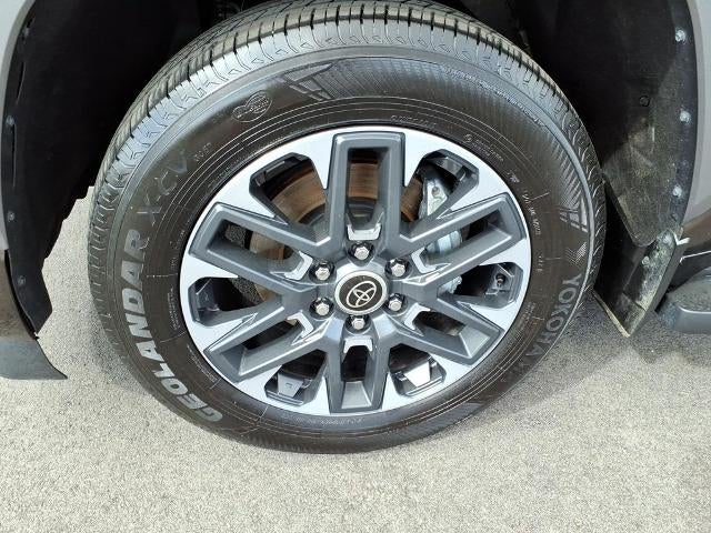 2024 Toyota Sequoia Limited 4WD (Natl)