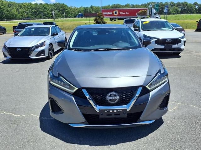 2023 Nissan Maxima SV CVT
