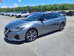 2023 Nissan Maxima SV CVT