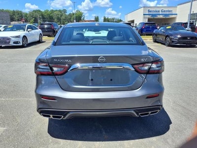 2023 Nissan Maxima SV CVT