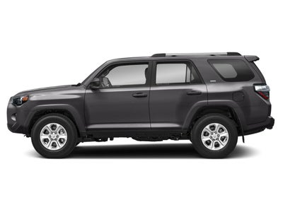 2024 Toyota 4Runner SR5 Premium 4WD (Natl)
